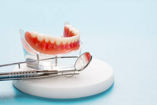 Best Cosmetic Dentistry  in Brandon, FL